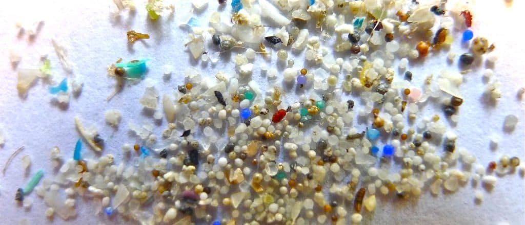 Trump Admin Declares War On Microplastics In Drinking Water