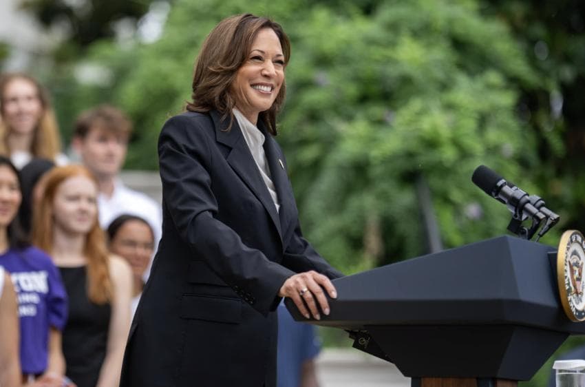 Kamala Harris Courting Insane Ideas For 2028 Run