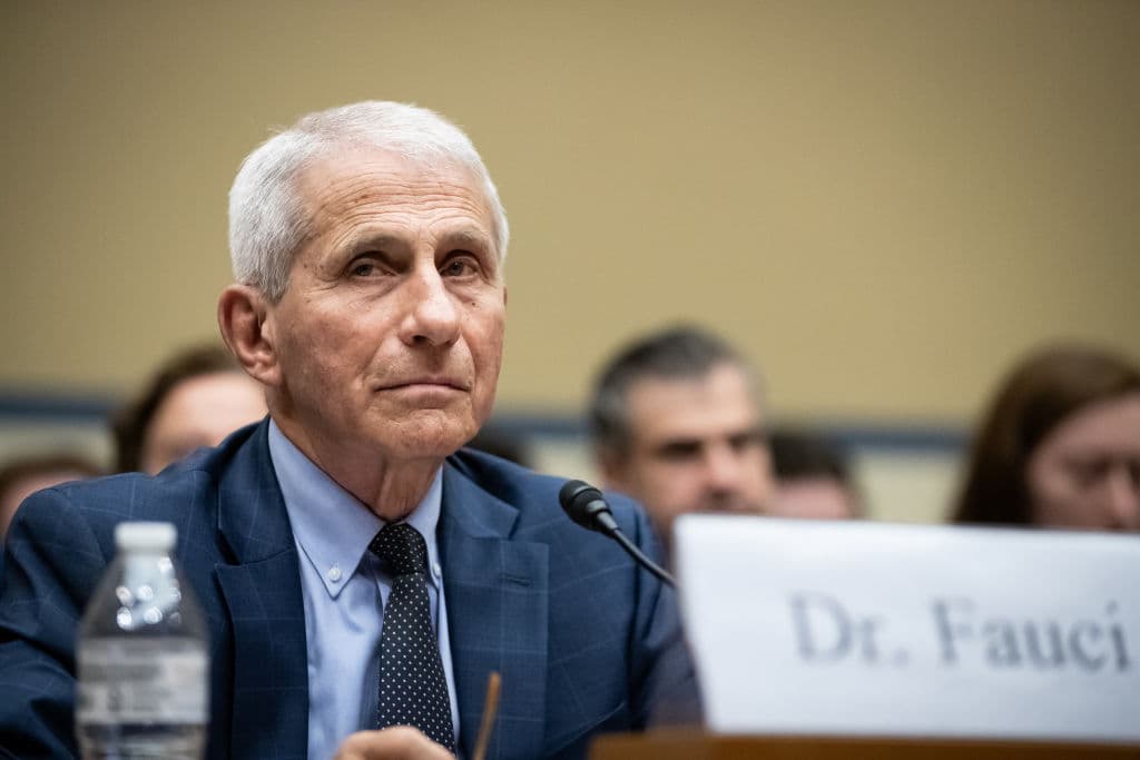 Fauciās Last Dance: The Intelligence Community Unmasked