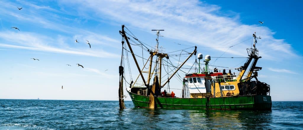 It’s Time For Washington To Put American Fisheries First