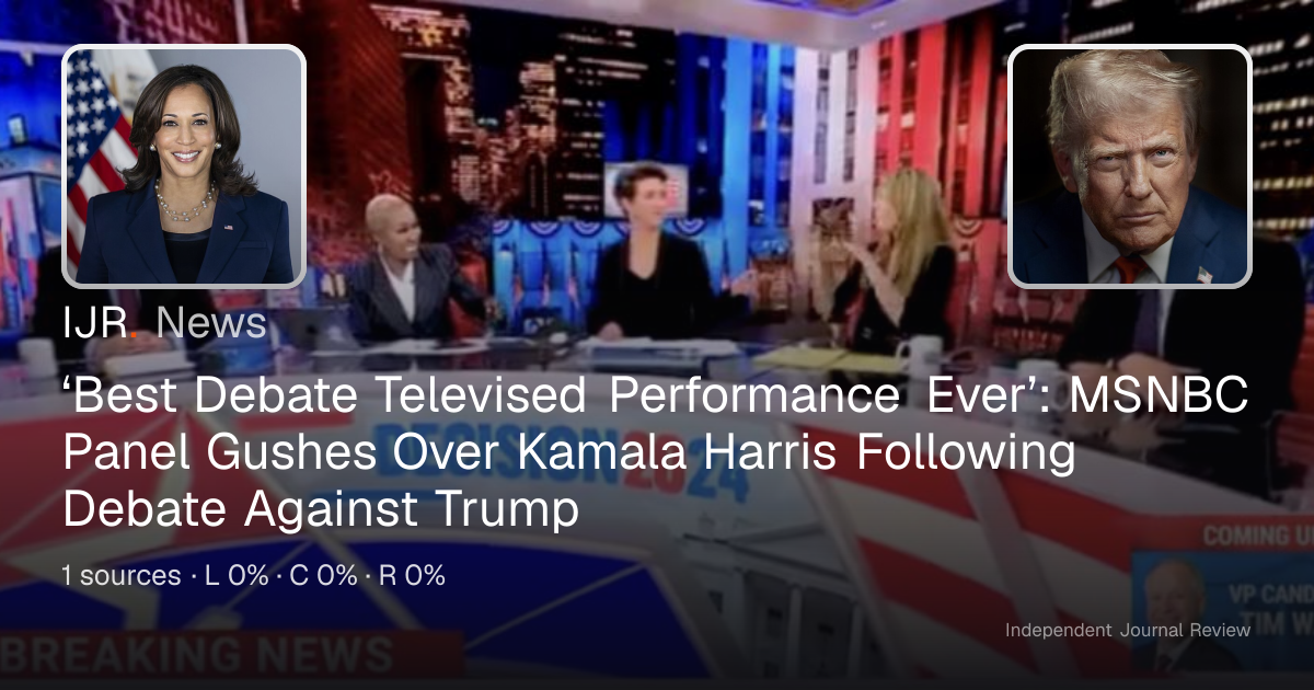 ‘Best Debate Televised Performance Ever’: MSNBC Panel Gushes Over ...