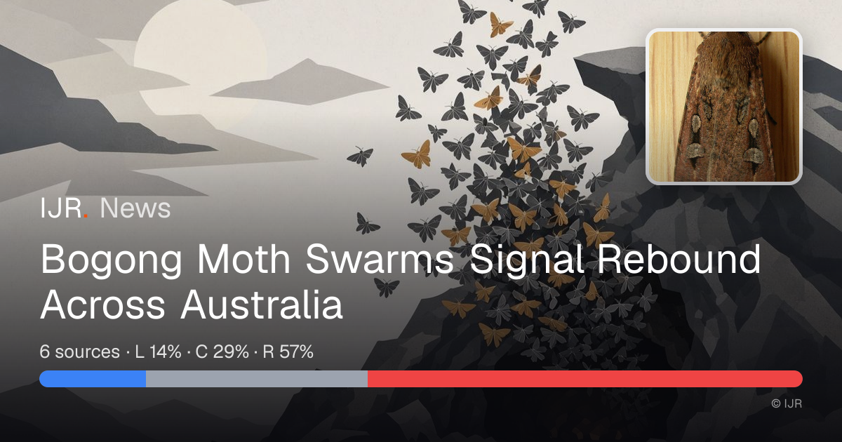 Bogong Moth Swarms Signal Rebound Across Australia — IJR News