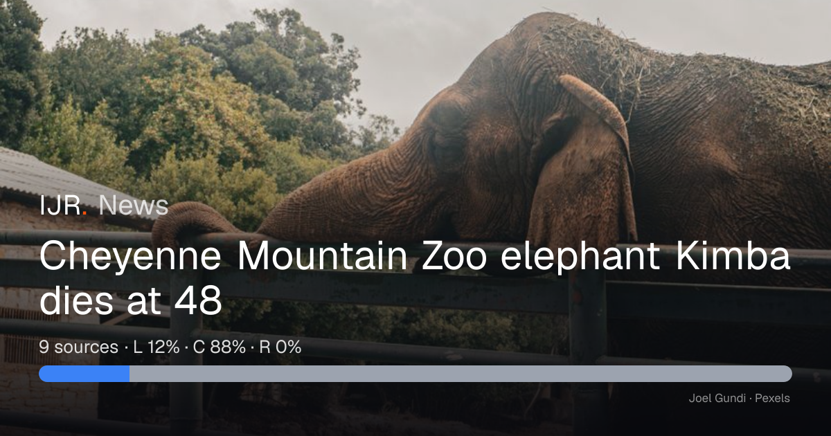 Cheyenne Mountain Zoo elephant Kimba dies at 48 — IJR News