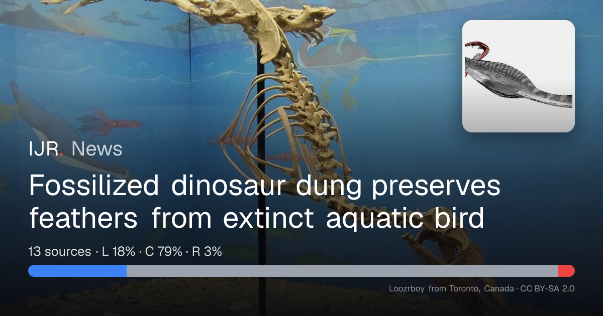 Fossilized dinosaur dung preserves feathers from extinct aquatic bird ...