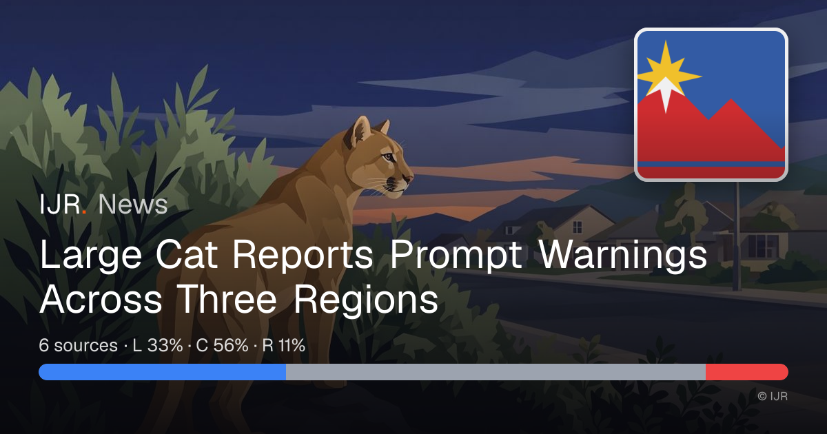 Large Cat Reports Prompt Warnings Across Three Regions — IJR News