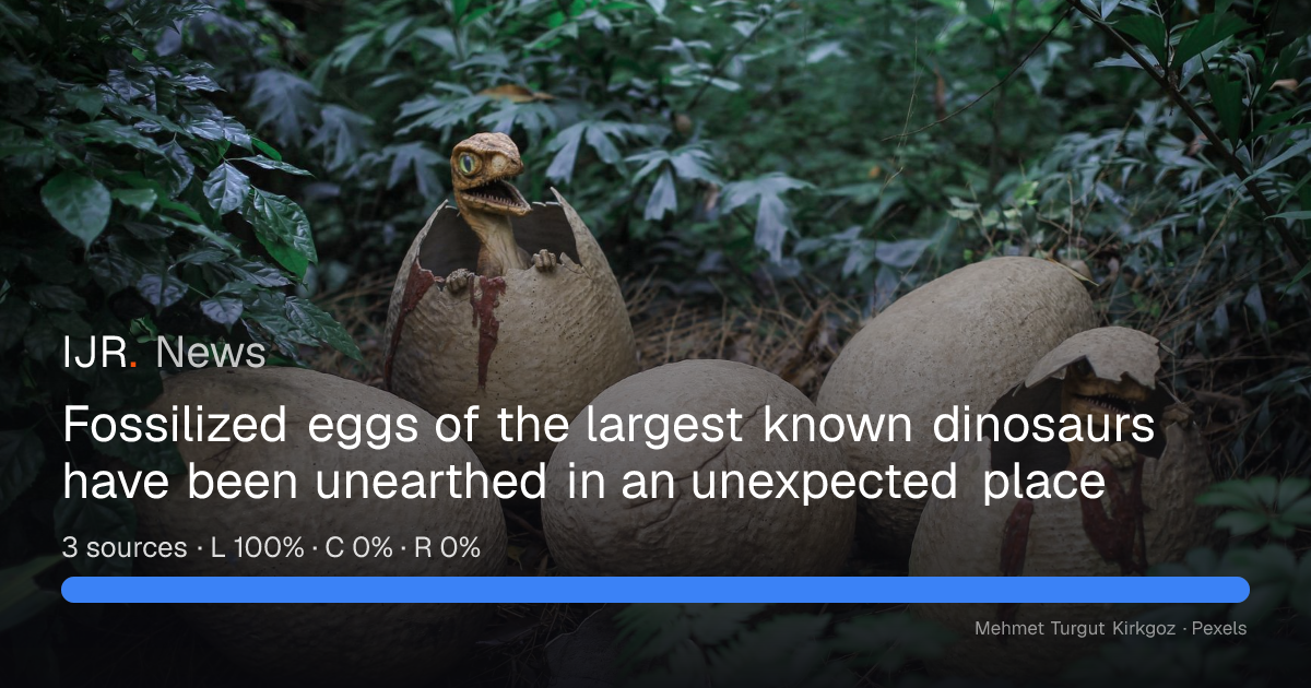 Fossilized Eggs of World's Largest Dinosaurs Unearthed in Argentina - News Directory 3