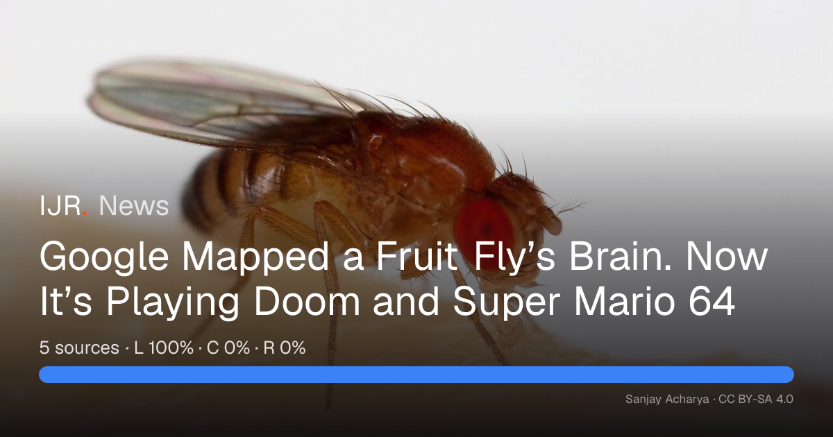 Google Mapped a Fruit Fly’s Brain. Now It’s Playing Doom and Super ...