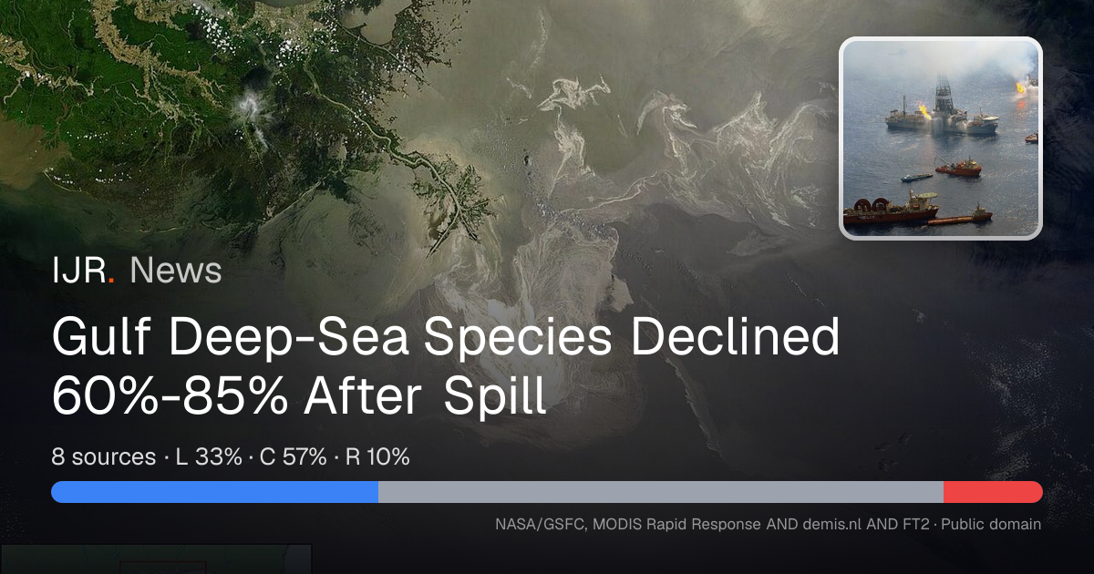 Gulf Deep-Sea Species Declined 60%-85% After Spill — IJR News