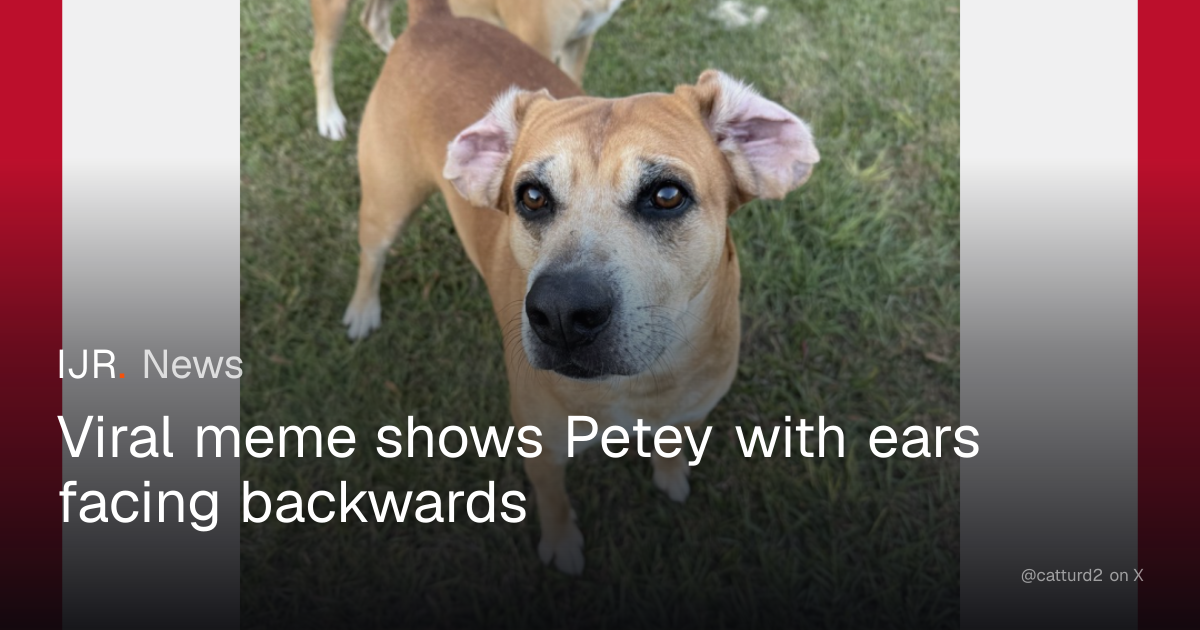 Houston, we have a problem. Petey’s ears are on backwards. — IJR News