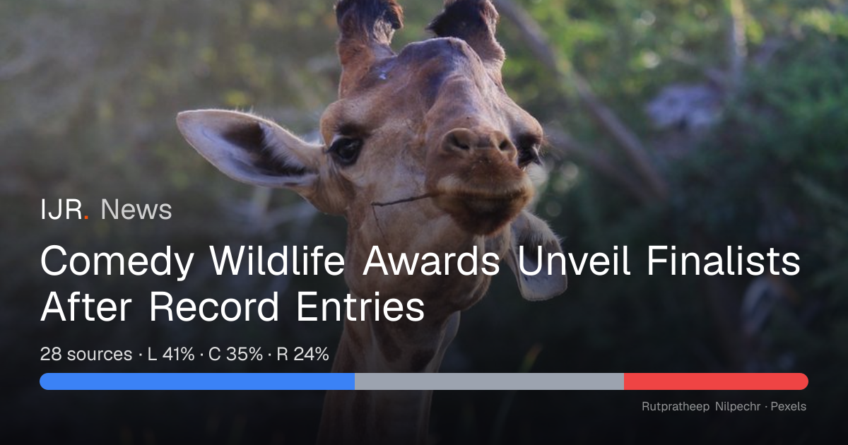Comedy Wildlife Awards Unveil Finalists After Record Entries — IJR News