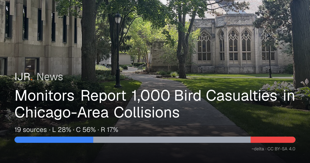 Monitors Report 1,000 Bird Casualties in Chicago-Area Collisions — IJR News