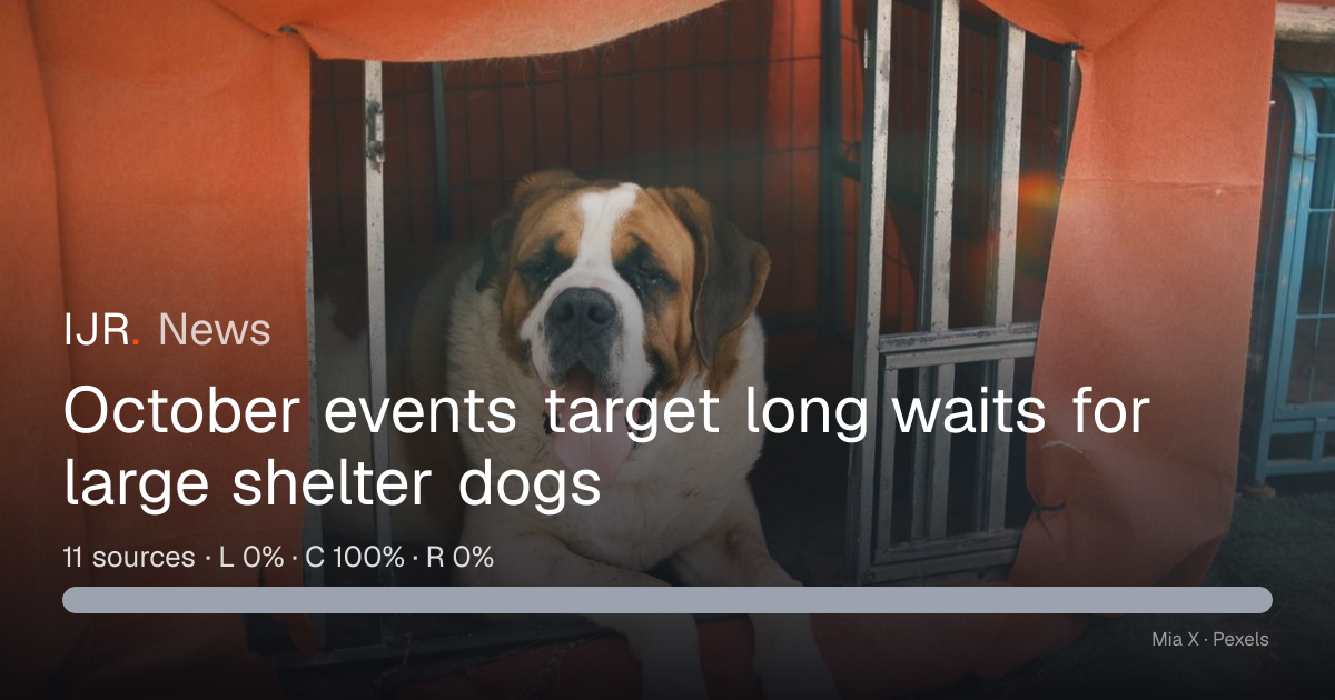 October events target long waits for large shelter dogs — IJR News