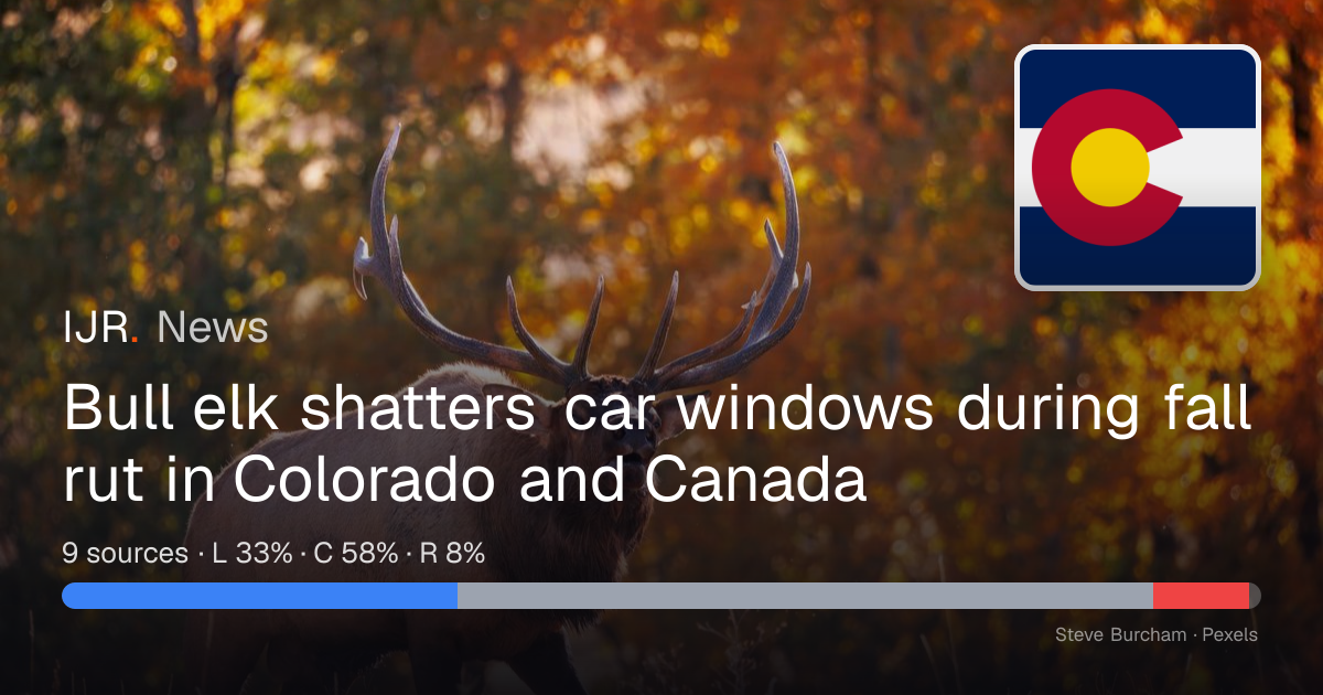 Bull elk shatters car windows during fall rut in Colorado and Canada ...
