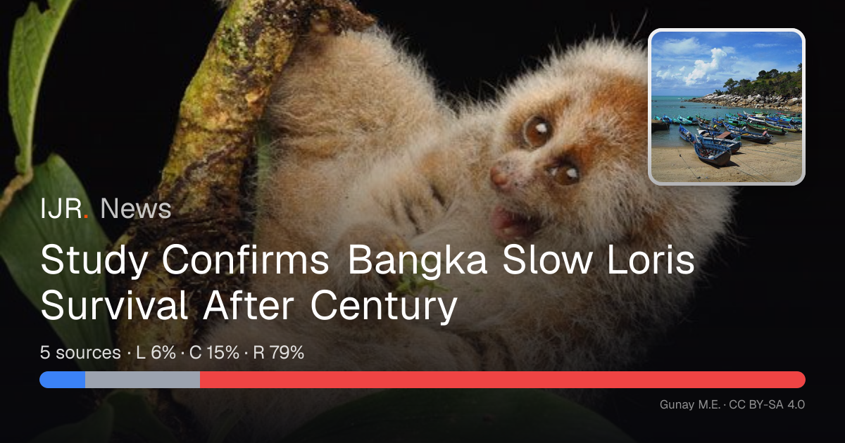 Study Confirms Bangka Slow Loris Survival After Century — IJR News