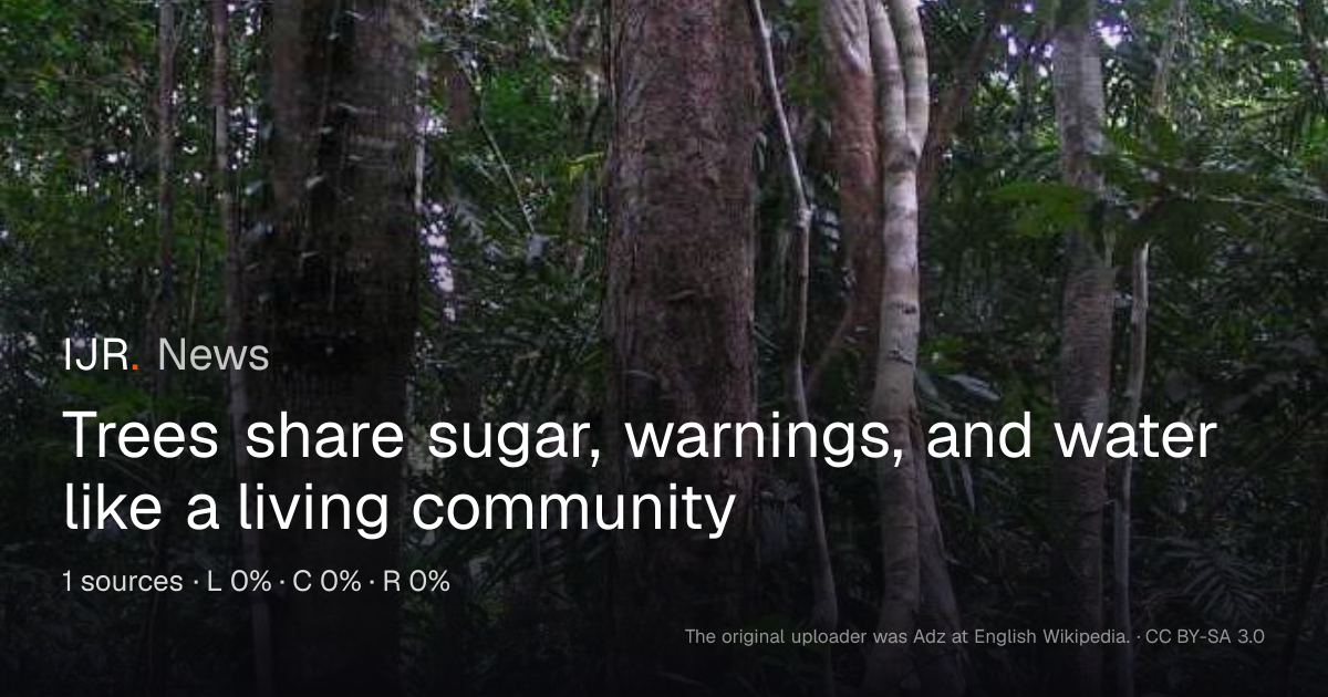 Trees share sugar, warnings, and water like a living community — IJR News