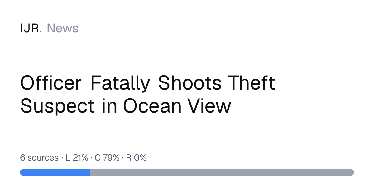 Officer Fatally Shoots Theft Suspect in Ocean View — IJR News