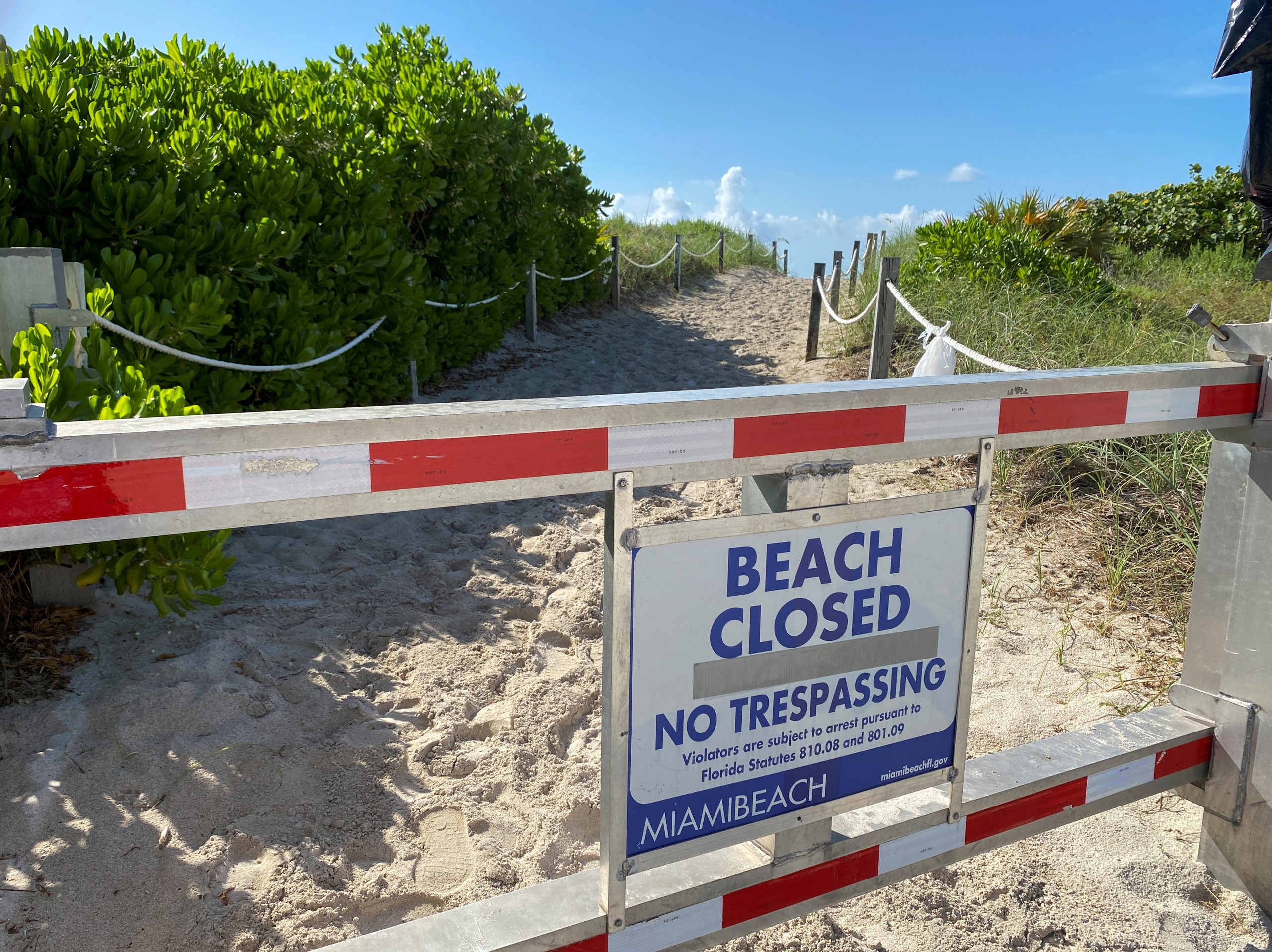 Seven US States Post Record COVID Cases, Curfew Ordered in Miami