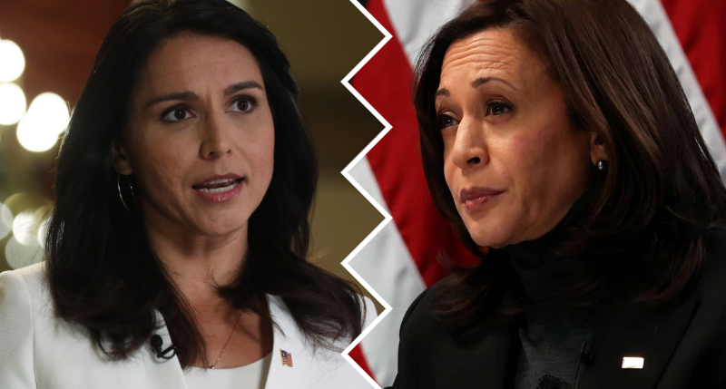 Tulsi Gabbard Labels Harris A Disaster As Vice President