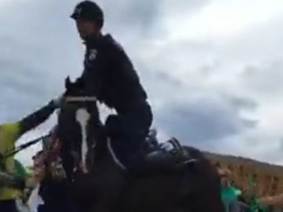 Protesters in Brazil pulled a police officer off of his horse and dogpiled him during protests over the new socialist president on Sunday.