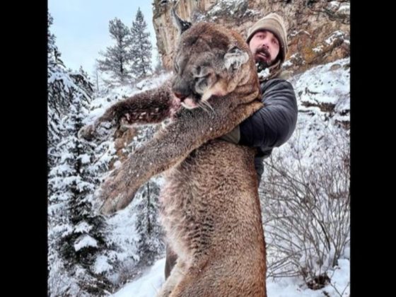 Former Denver Broncos defensive end Derek Wolfe killed a mountain lion in rural Colorado.