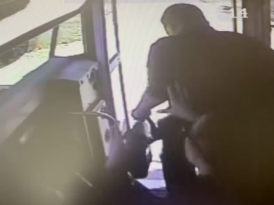 April Wise, a bus driver for Tecumseh Local Schools in Ohio, is being hailed a hero after she grabbed the backpack of a student who was disembarking the bus just seconds before a car would have hit him.