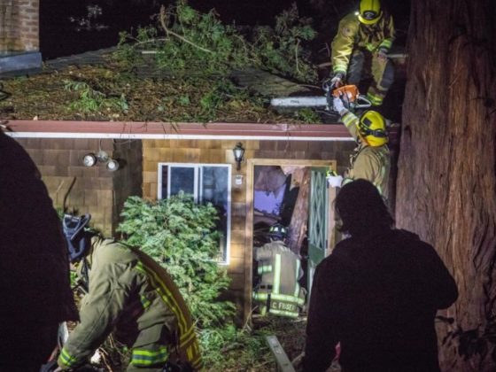 Firefighters had to be careful that the ceiling did not collapse on the trapped child while they removed the large tree branch that had pinned the boy down.