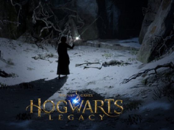 The cover package for the Harry Potter-themed video game "Hogwarts Legacy."