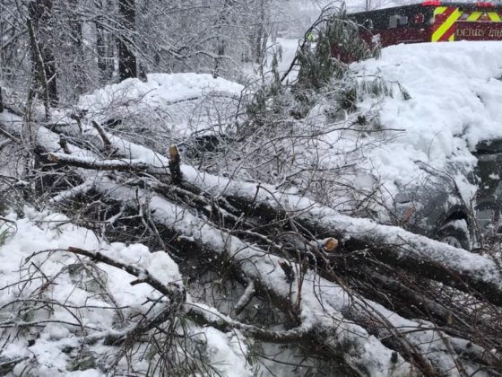 On Tuesday a 6-year-old in Derry, New Hampshire, was rescued by a team of firefighters and police after a tree fell on top of them.