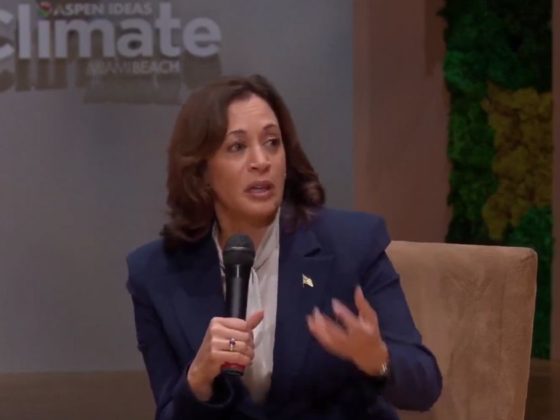 Kamala Harris commented on what she termed "climate mental health" at a conference Wednesday.