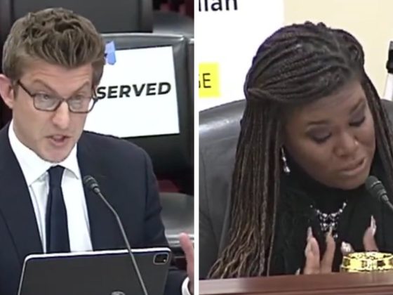These Twitter screen shots show energy sector expert Alex Epstein (L) and Rep. Cori Bush (R) at a hearing about the Strategic Petroleum Reserve.