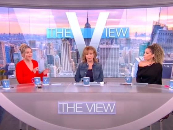The co-hosts of "The View" discussed President Joe Biden's re-election campaign announcement during Wednesday's show.