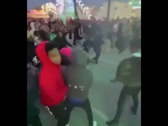 A brawl broke out at the Armed Forces Weekend Carnival in Chicago on Saturday.