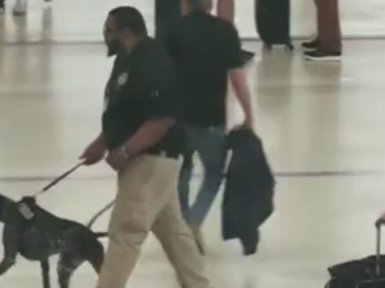 A TSA agent is seen with a canine in a Detroit airport.