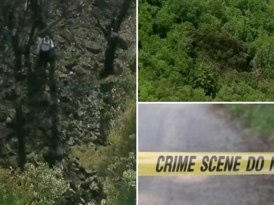 A collage of video stills showing the crash site.