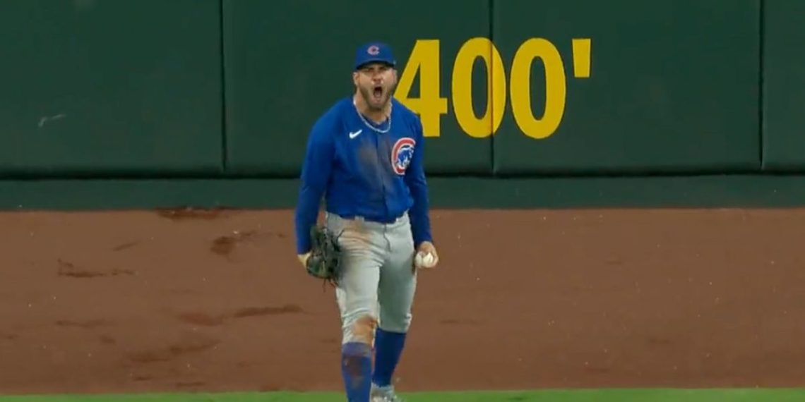Cubs outfielder Mike Tauchman caught a ball during Friday's game that would have been a home run.