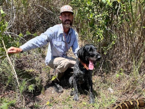 Mike Kimmel killed a Burmese python in Florida.