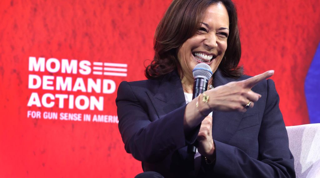 ‘I’m Speaking’: Kamala Harris Laughs As Climate Protester Yells At Her About Hawaii