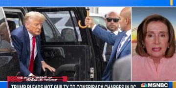 Pelosi Claims Trump Looked Like a ‘Scared Puppy’ at His Arraignment