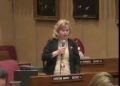 Democratic Sen. Christine Marsh of Arizona speaks in a February meeting.