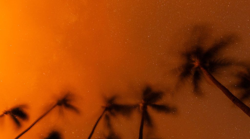 Woman Who Escaped Maui Wildfires on Foot Dies After Weeks of Hospitalization