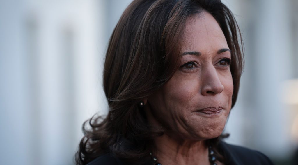 Kamala Harris Slammed Over Photo of Gas Stove on Thanksgiving