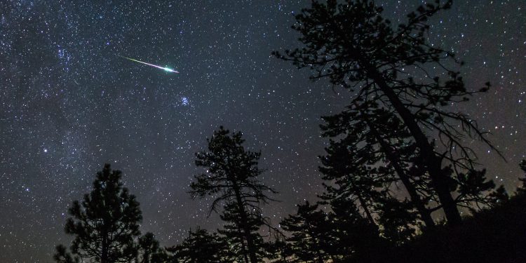 November’s Upcoming Meteor Shower, Star Cluster, and Moon Phases Are Sure to Brighten the Skies