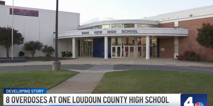 ‘There Is a Fentanyl Problem’: High School in Virginia County Reports 8 ...