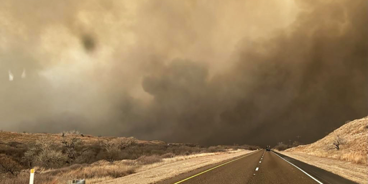 1 Confirmed Dead in Texas Wildlife