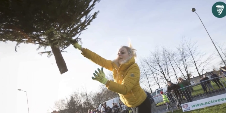Tossed Christmas Tree Photo Gets Case Tossed From Court