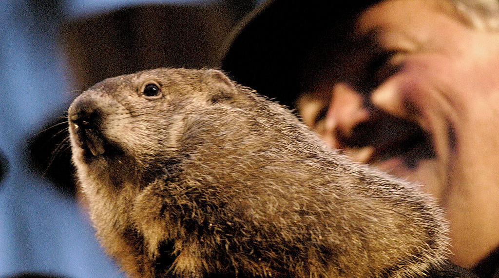He and His Shadows — Punxsutawney Phil Becomes a Father