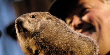 He and His Shadows — Punxsutawney Phil Becomes a Father