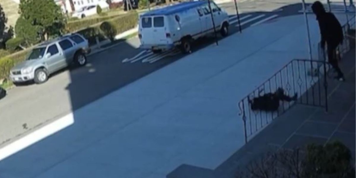 A 68-year-old woman suffered a fractured skull as she was mugged on the steps of her Queens church on Sunday morning. Police are searching for the suspect.