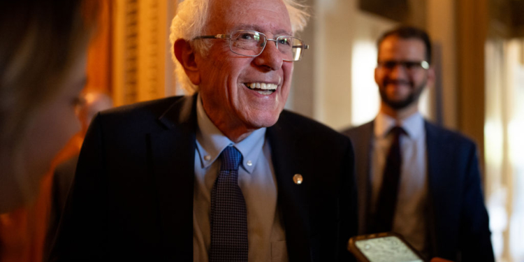 Bernie Sanders Seeks Fourth Term in Senate 