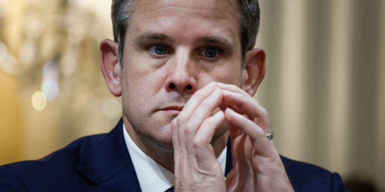 Kinzinger Re-Tweets Suggestion Biden Might Have to Step Aside 2 Days After Endorsing Him
